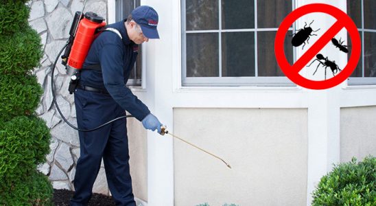 Yozgat Kemirgen İlaçlama böcek ilaçlama ve haşere kontrolü — ilaclama-tr.com